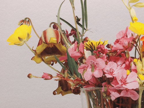 Detalle de flores impresas en papel  Hahnemuhle Photo Rag 308